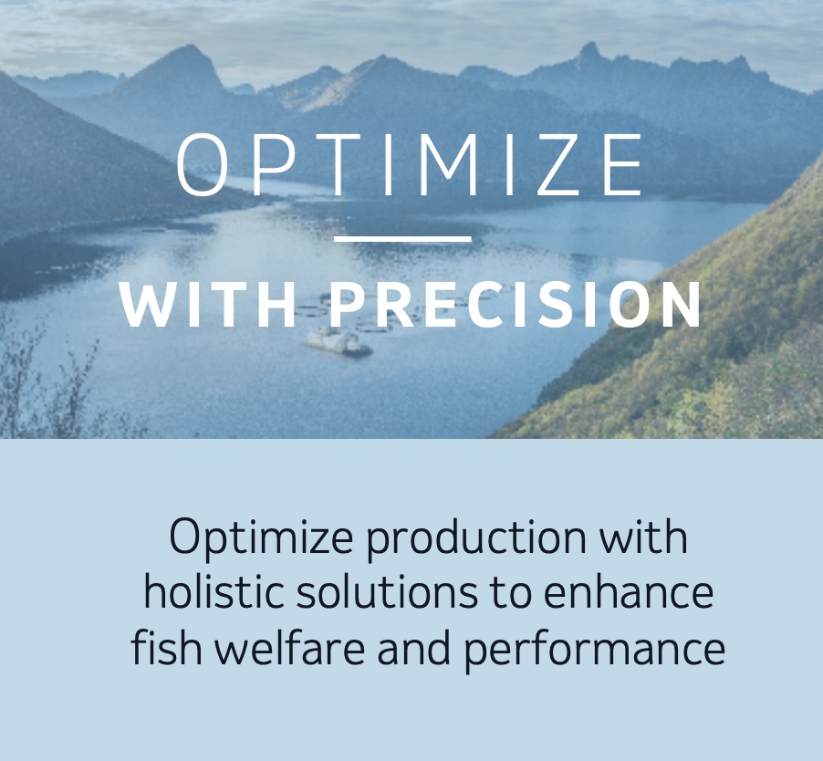 optimize with precision 